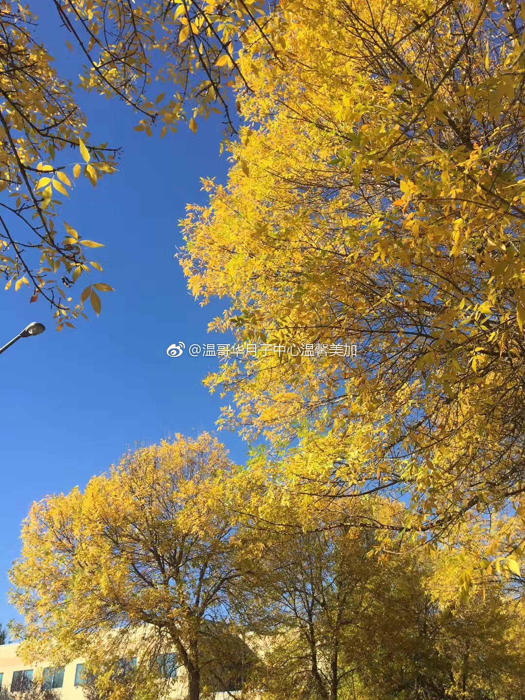 加拿大月子中心